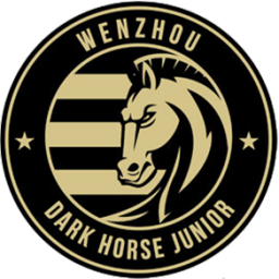 温州FC 温州FC